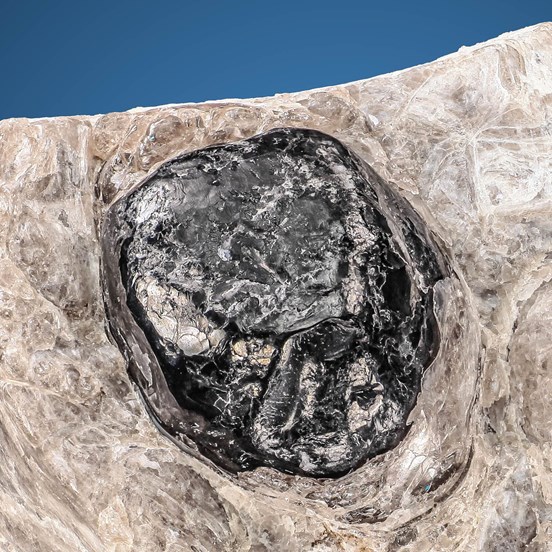 Obsidian-Thomas Range | Juab Co. | Utah | USA